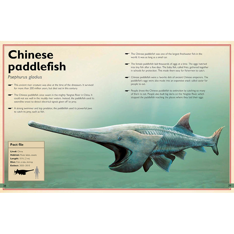 The Magnificent Book of Extinct Animals