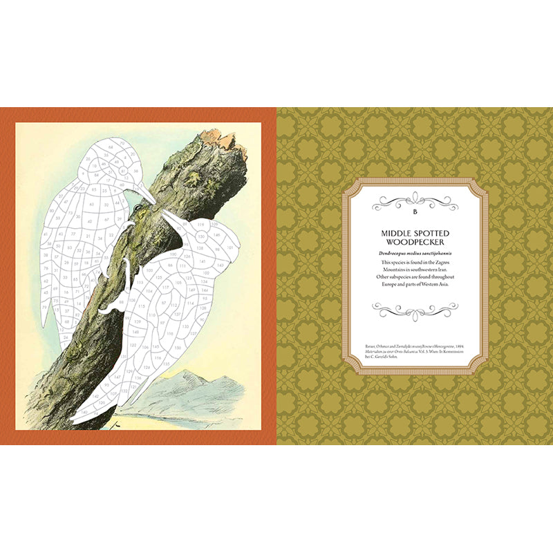 Museum Mosaics: Birds of the Smithsonian
