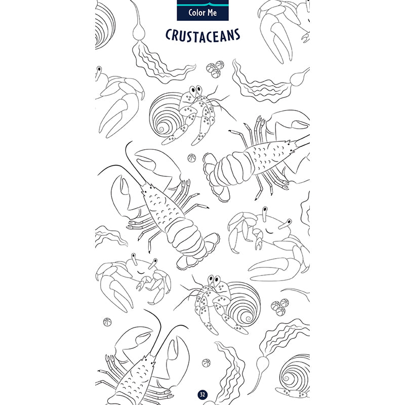 Undersea Explorer Activity Pack