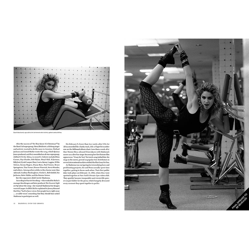 Madonna: Into the Groove
