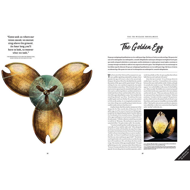 Artifacts of the Wizarding World