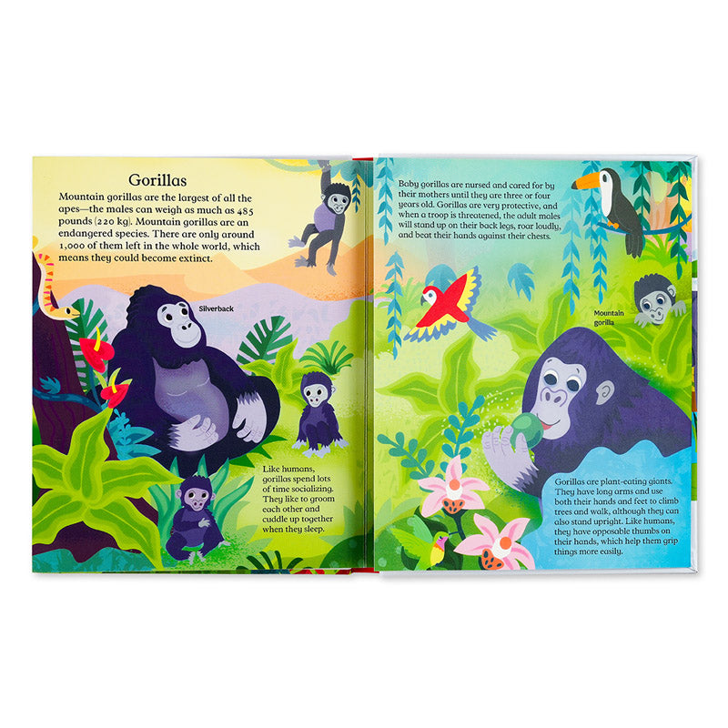 Pop-Up and Discover: Animals