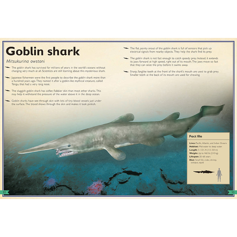 The Magnificent Book of Sharks