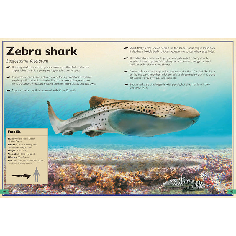 The Magnificent Book of Sharks