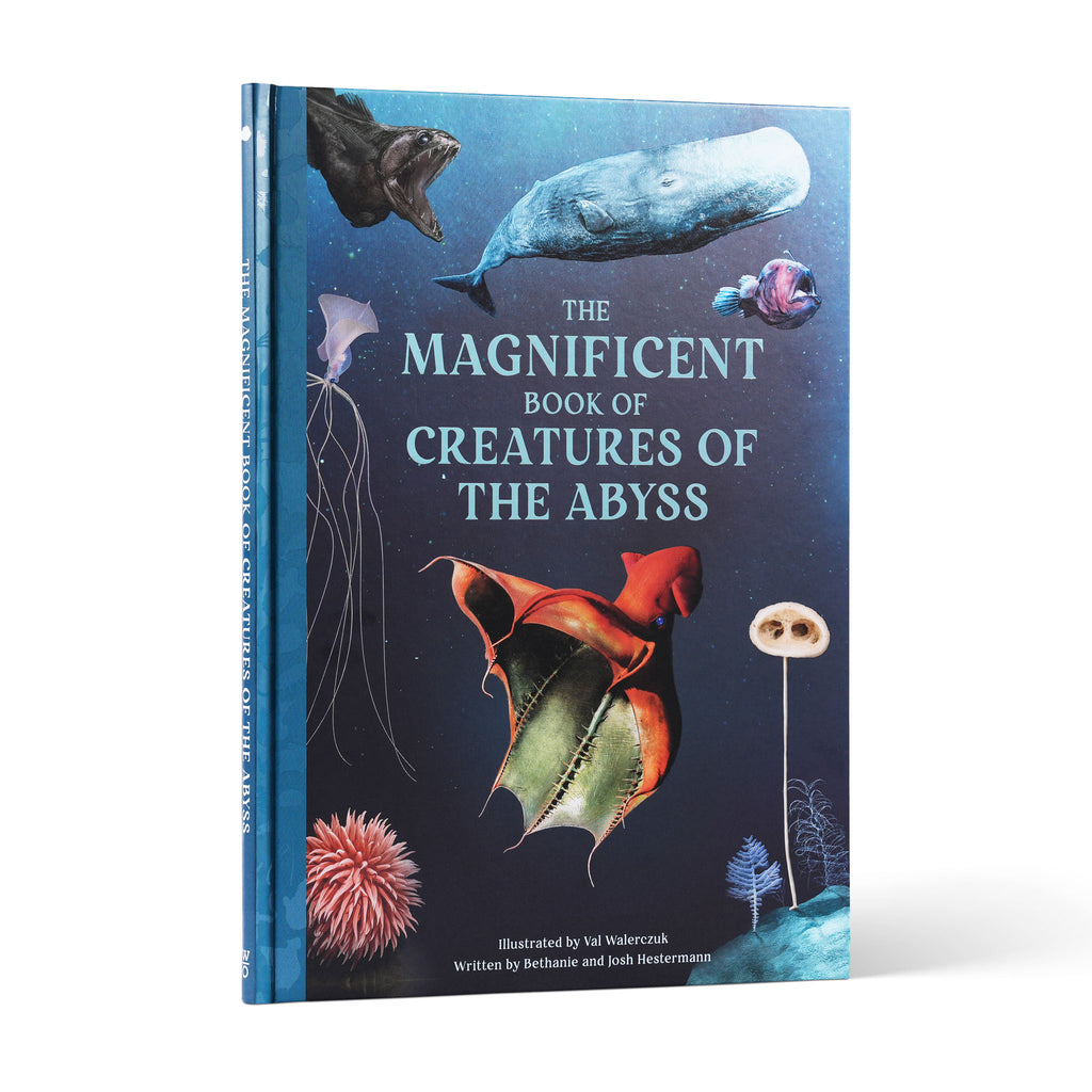 The Magnificent Book of Creatures of the Abyss