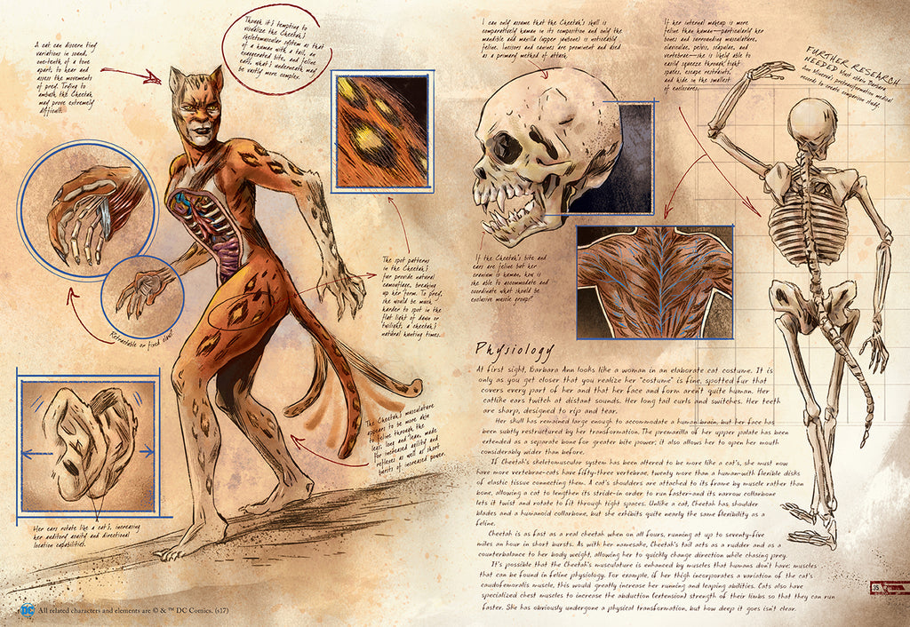 DC Comics: Anatomy of a Metahuman