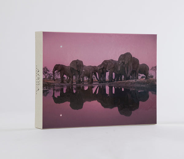 Into Africa: Blank Boxed Notecards – Insight Editions