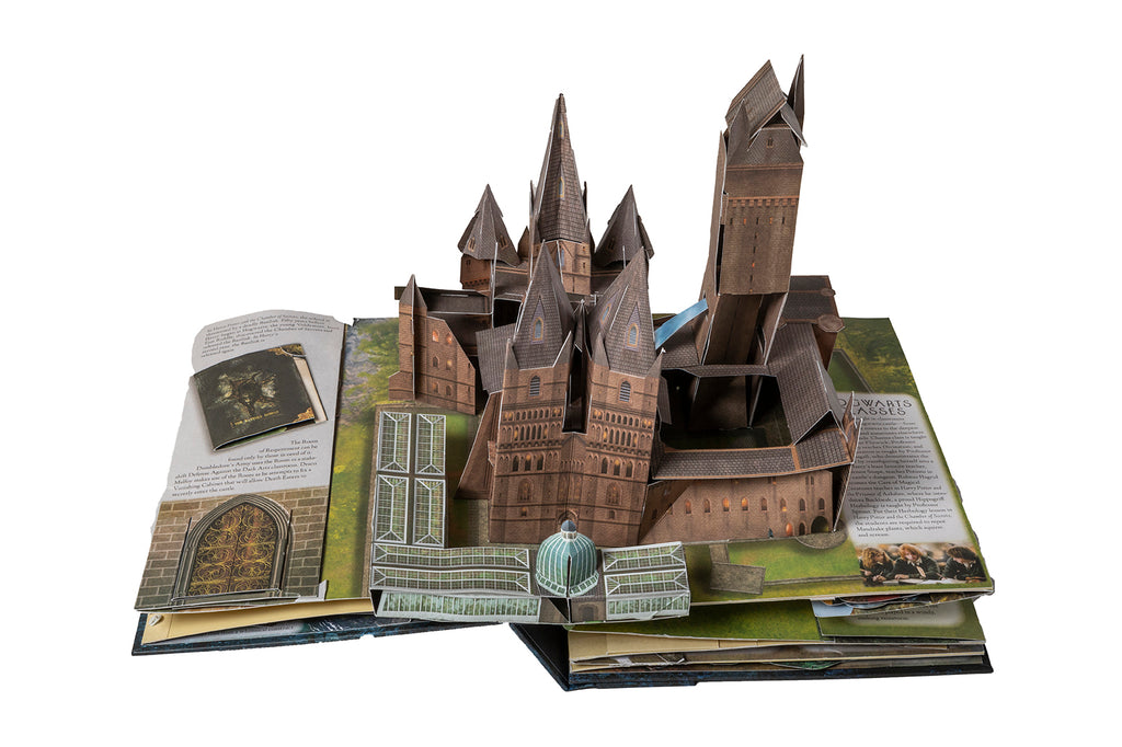 Harry Potter: A Pop-Up Guide to Hogwarts: Reinhart, Matthew, Wilson, Kevin:  9781683834076: : Books
