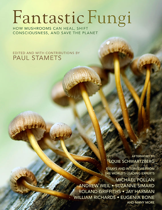 Fantastic Fungi – Insight Editions
