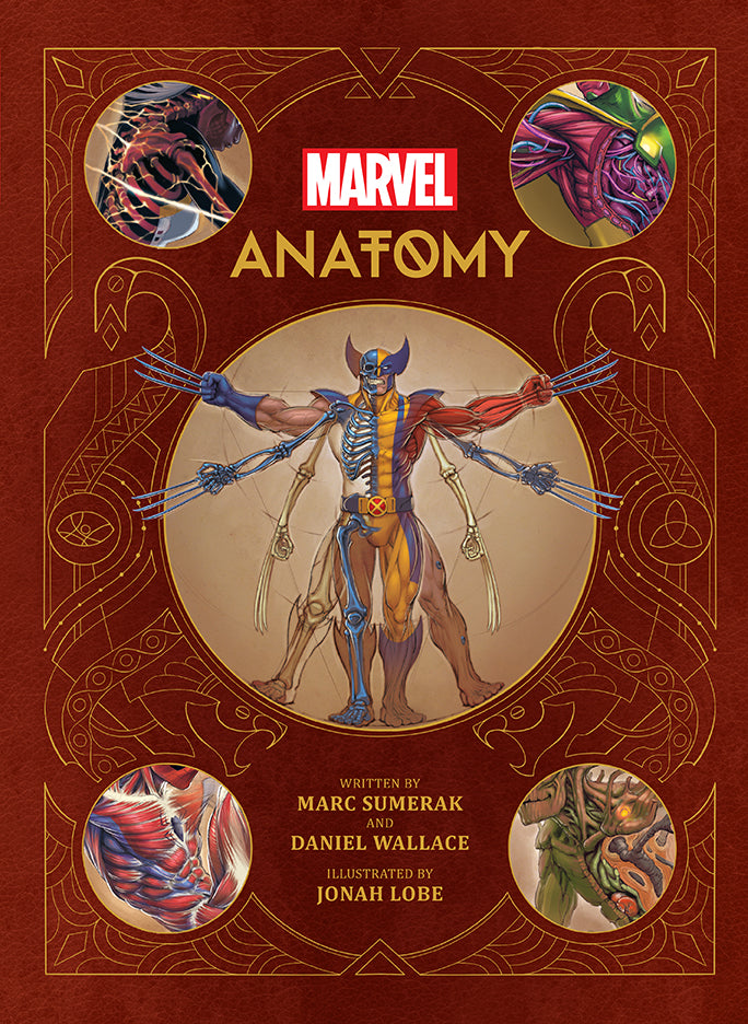 Anatomy of the Superhero Film / スーパーヒーロー Marvel Anatomy: A Scientific Study of the Superhuman – Insight