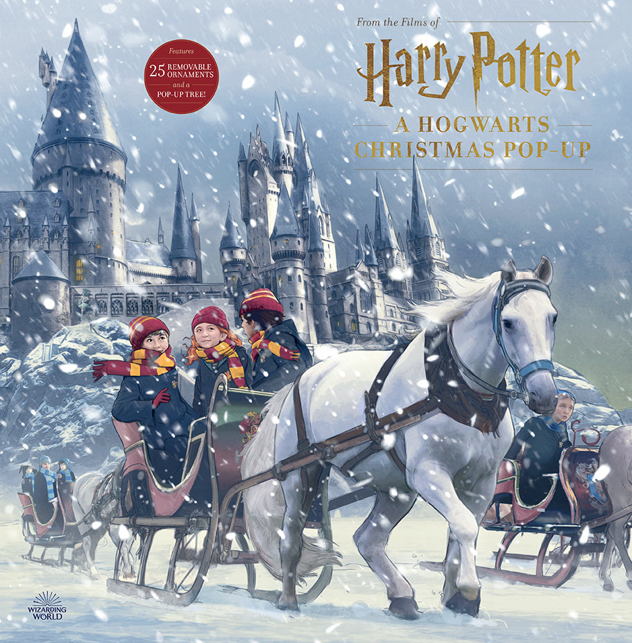 Harry Potter Christmas  Harry potter christmas, Hogwarts