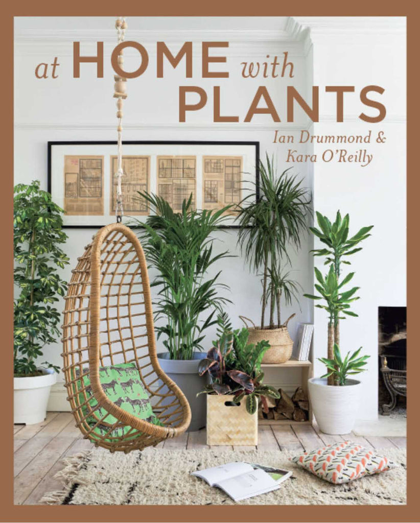 indoor plants ipswich At Home with Plants