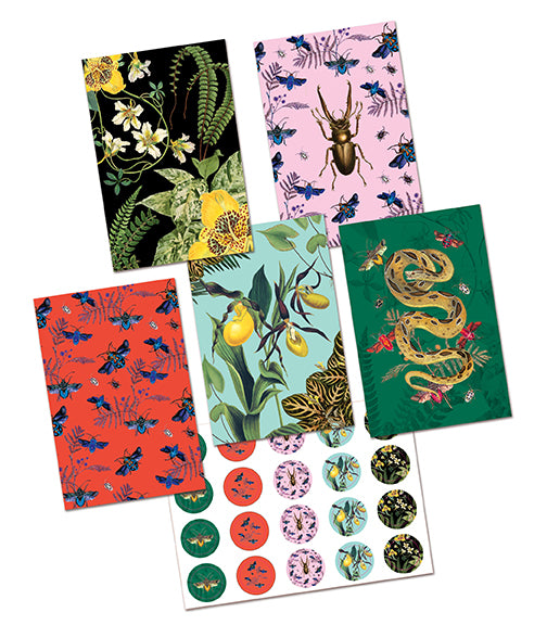 Art of Nature: Botanical Card Portfolio Set (Set of 20 Cards)