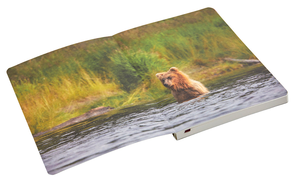 Refuge: Purple Fireweed Softcover Notebook