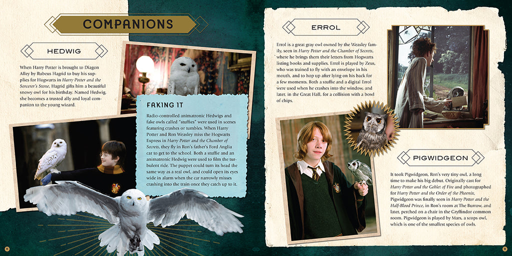 Harry Potter Mythical Creatures
