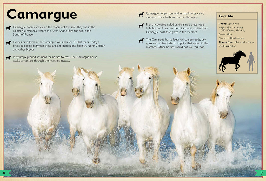 The Magnificent Book of Horses