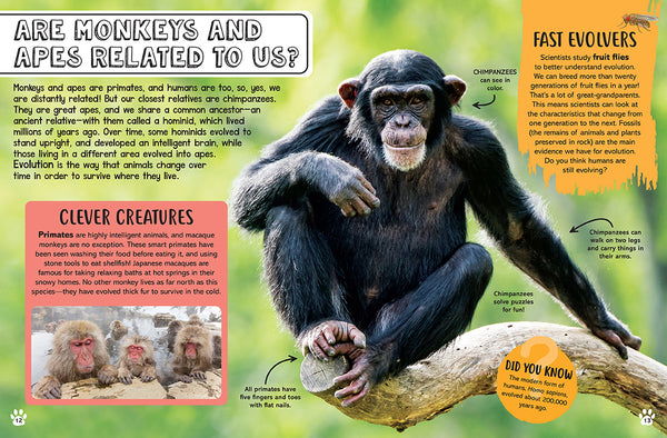 Big Questions for Little People: Animals – Insight Editions