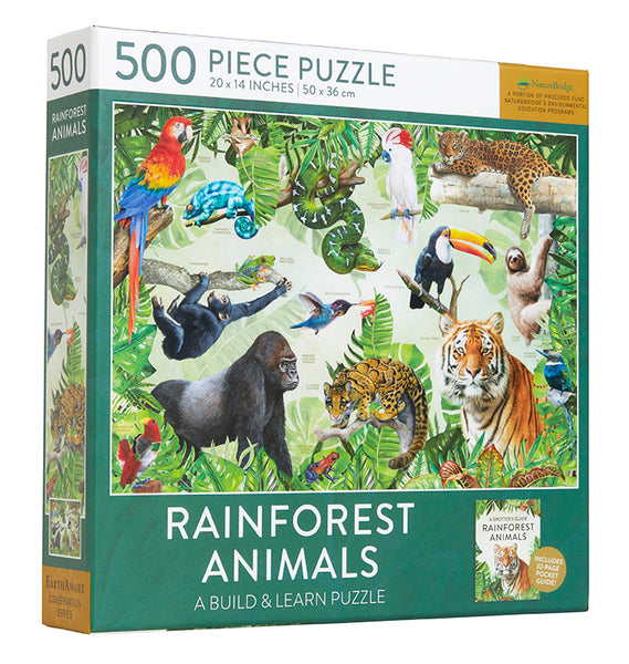 Rainforest Animals – Insight Editions