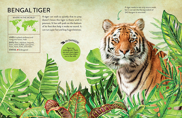 Rainforest Animals – Insight Editions