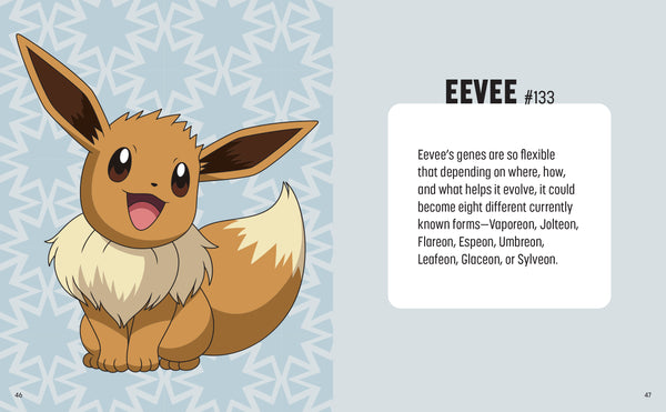 Pokemon: Trainer's Mini Exploration Guide – Insight Editions