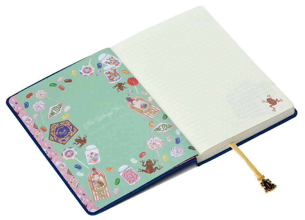 Harry Potter: Chocolate Frog Journal with Ribbon Charm – Insight