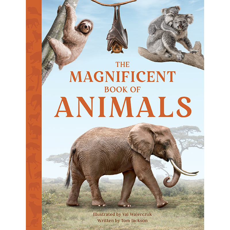 The Magnificent Book of Animals – Insight Editions